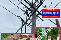 សត្វពស់១ក្បាល ធ្វើឱ្យដាច់ចរន្តអគ្គិសនី អស់ជាច្រើនស្រុក…!!!